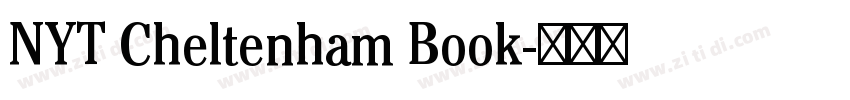 NYT Cheltenham Book字体转换